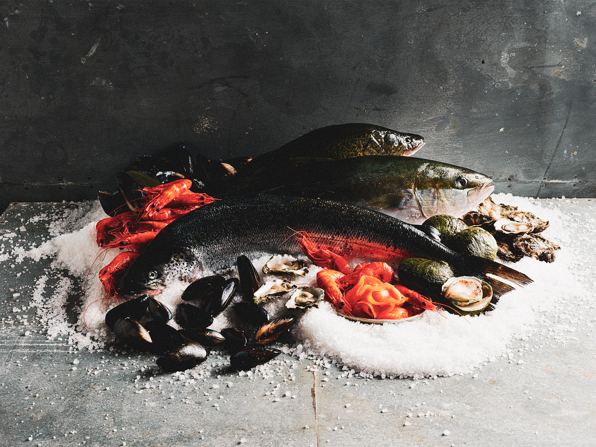 Fresh fish, prawns, oysters, and mussels displayed on ice for the Sydney Royal Fine Food Show Aquaculture Competition.