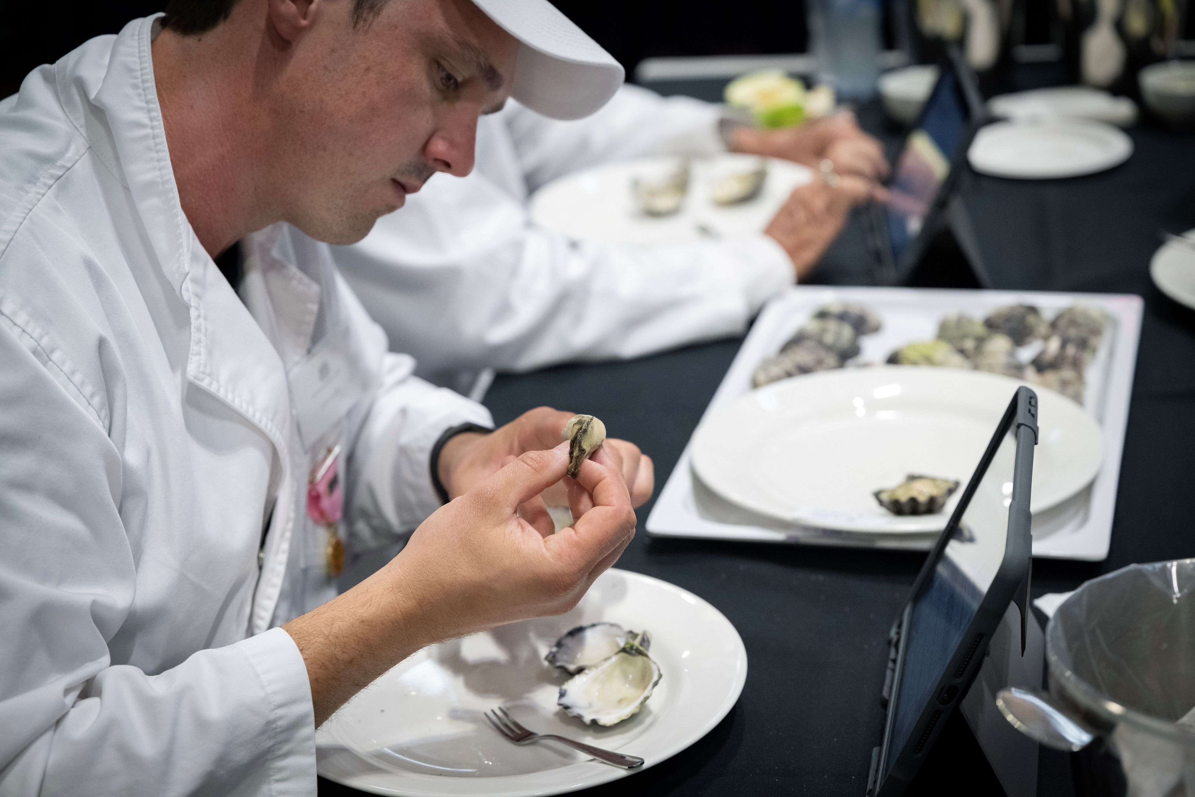 Sydney Rock Oyster farmers encouraged to enter their products into national Aquaculture competition
