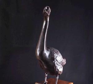 Michael Peel Perpetual Trophy