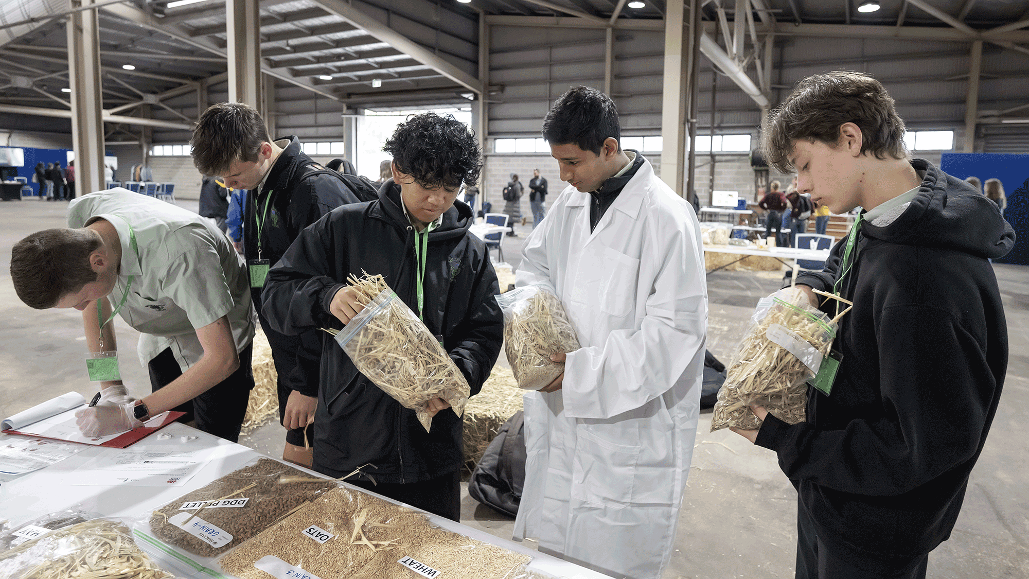 Students examining and labelling bags of straw during an agricultural judging activity inside a pavilion.