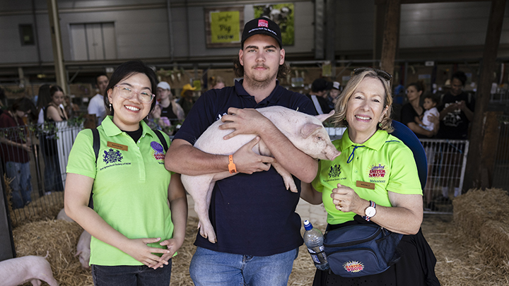 Three volunteers smiling at the Sydney Royal Easter Show, with one holding a piglet inside the Pig Pavilion.