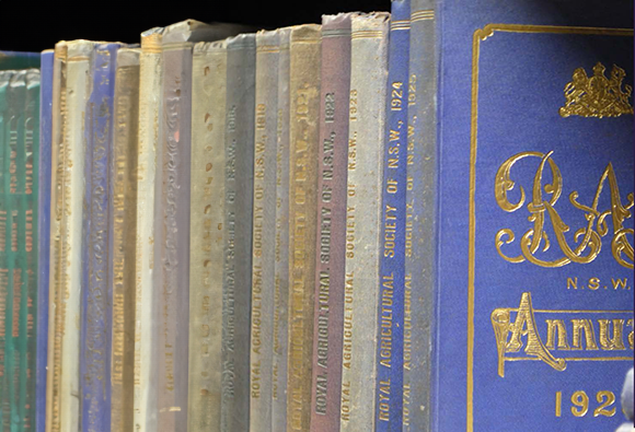 A shelf with Royal Agricultural Society of NSW Annual Reports, decorated with ornate gold lettering on the spines and cover.