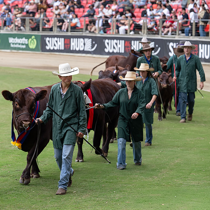 Paraders Competitions