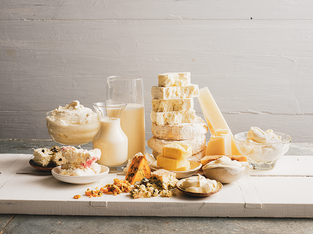 A display of cheeses, cream, milk, and other dairy products on a white board at the Sydney Royal Cheese & Dairy Produce Show.