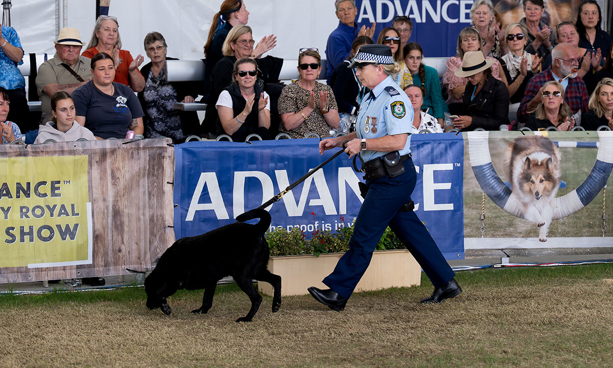 Canine Hero Awards | The Royal Agricultural Society of NSW