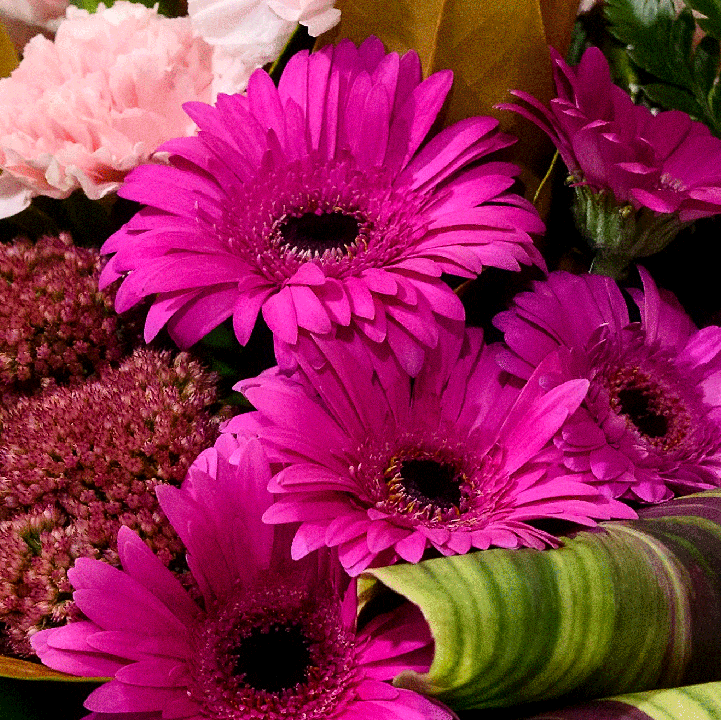 Floristry Student Competition