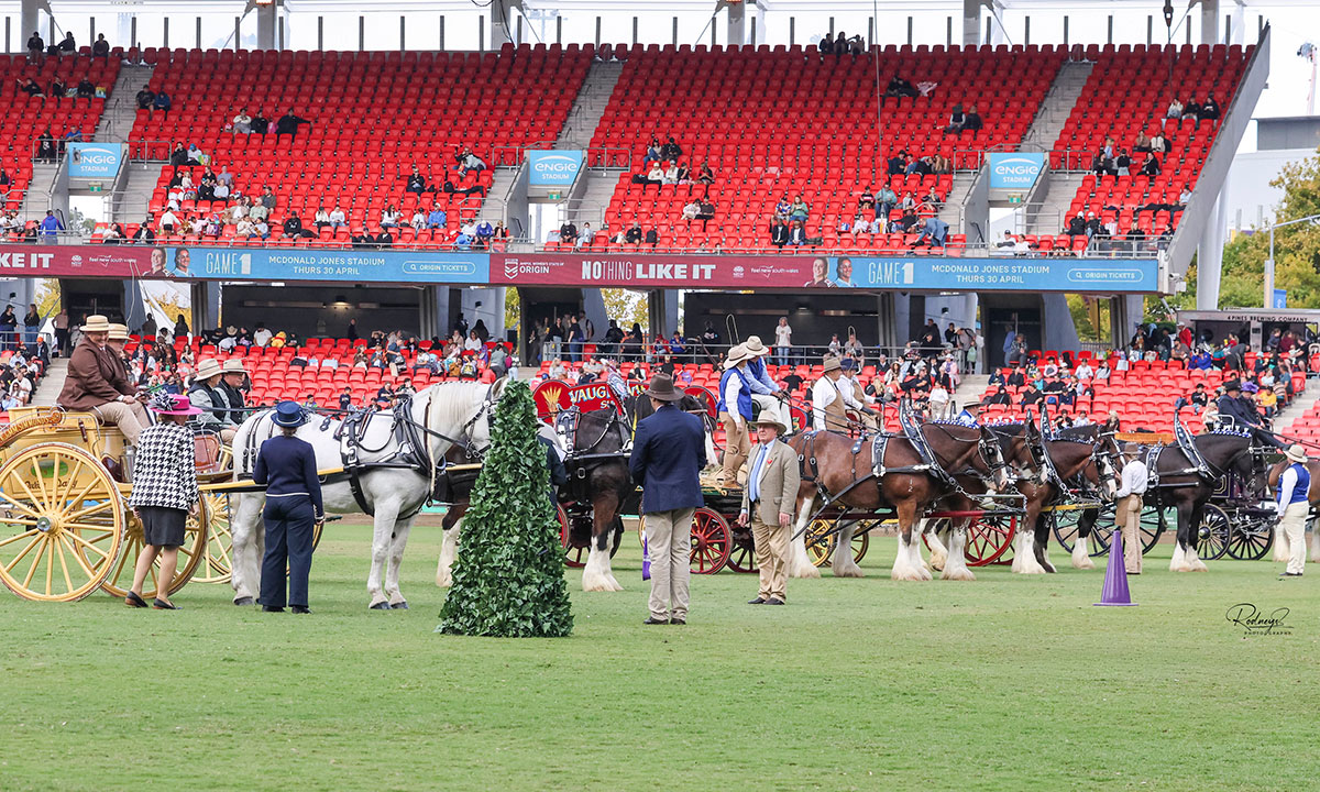 Sydney Royal Horse Show | Entries, Schedule & Results