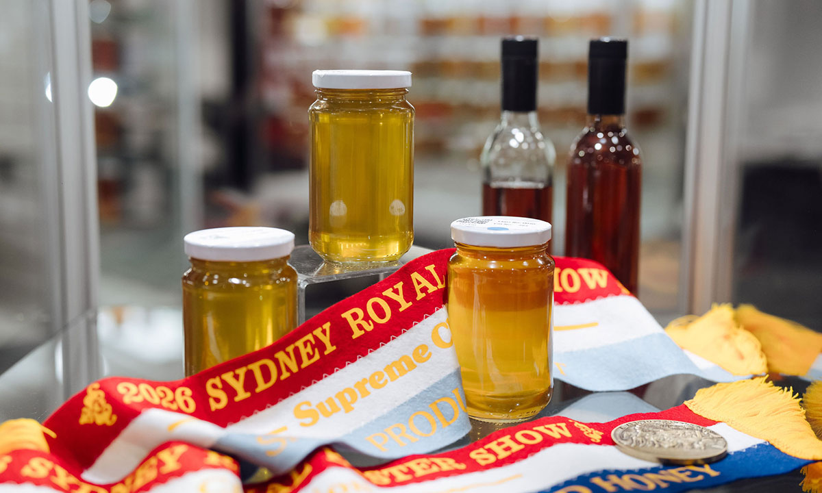 Jars of honey displayed with Sydney Royal award ribbons and medals at the Sydney Royal National Honey Show.