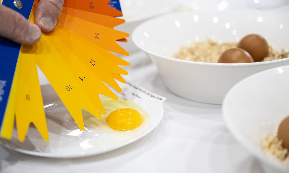 Sydney Royal Egg Show Competition | RASNSW