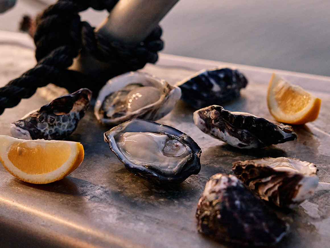 Tathra Oysters Hero Image