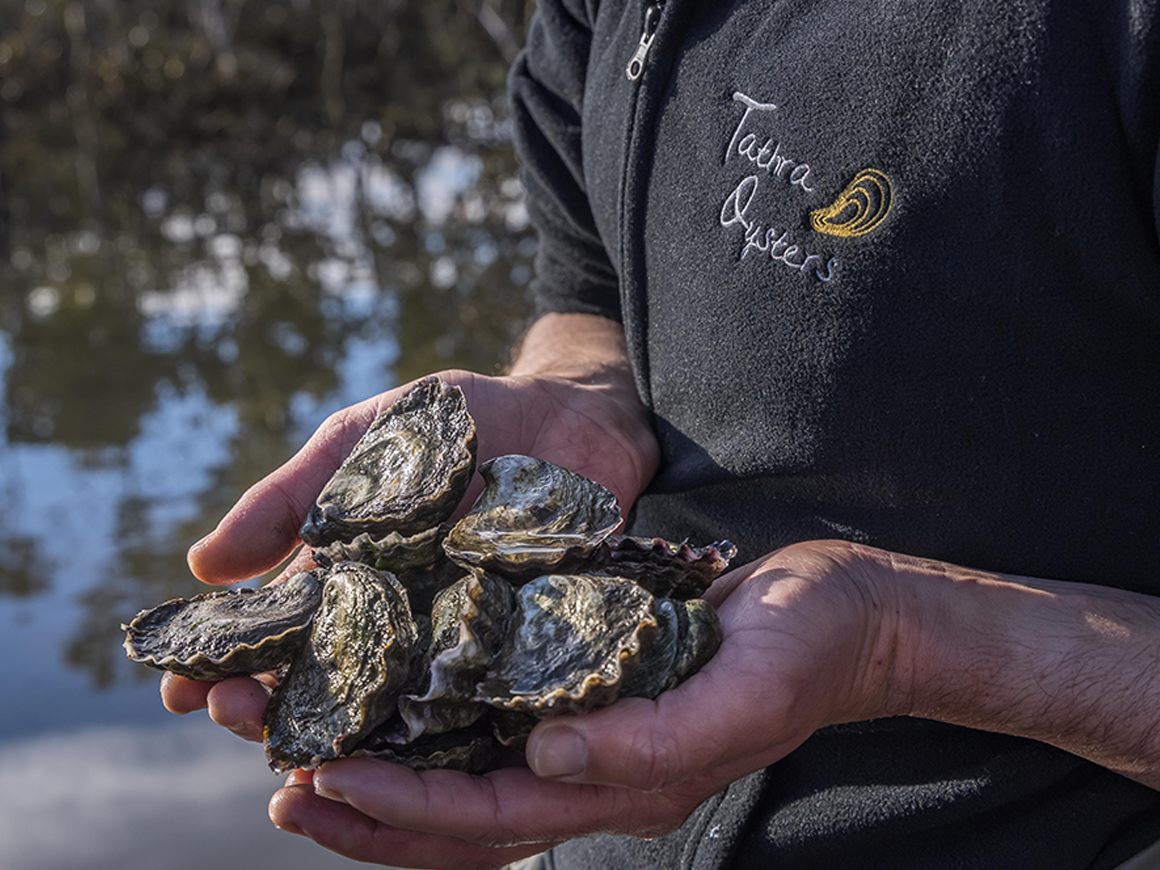 Tathra Oysters Hero Image