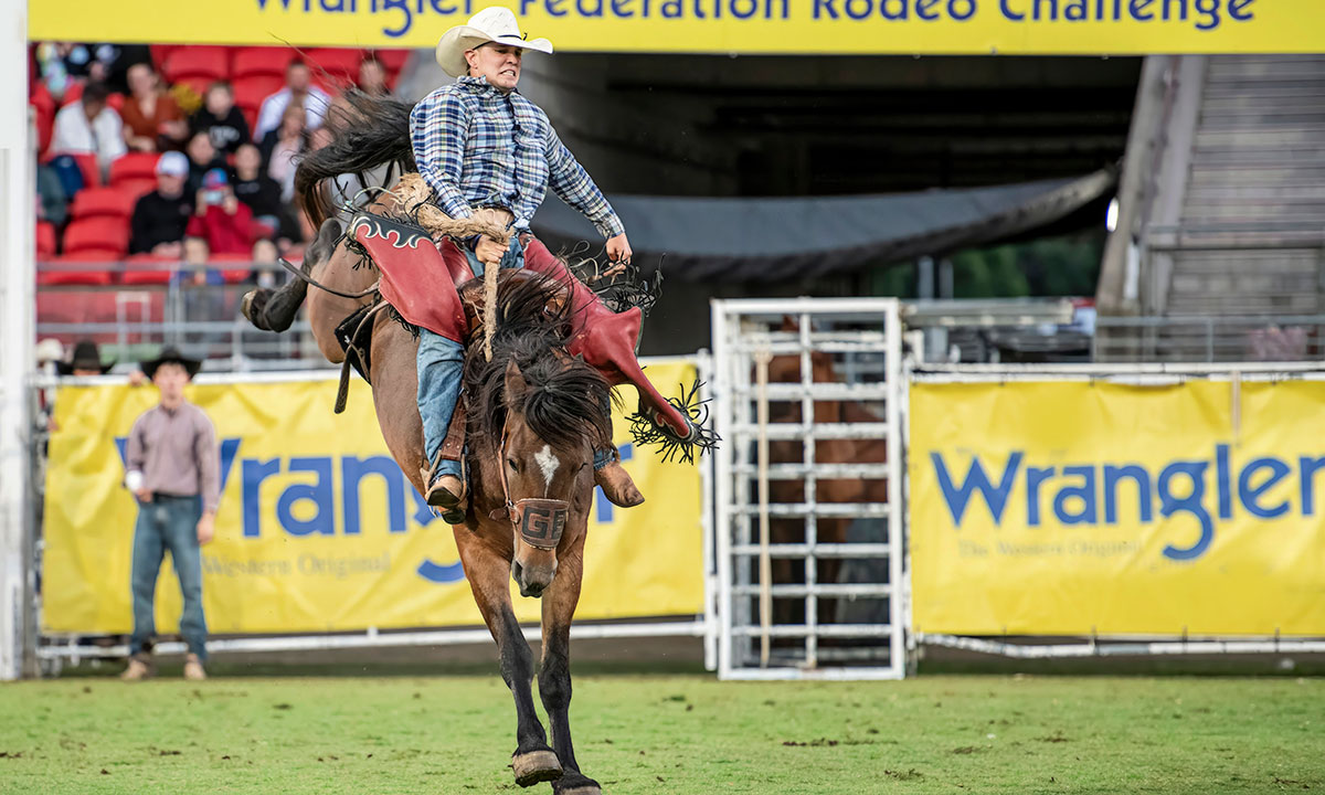 Saddle bronc rodeo competitor Zack Knight on a bucking horse in ENGIE Stadium at the Wrangler Federation Rodeo Challenge.