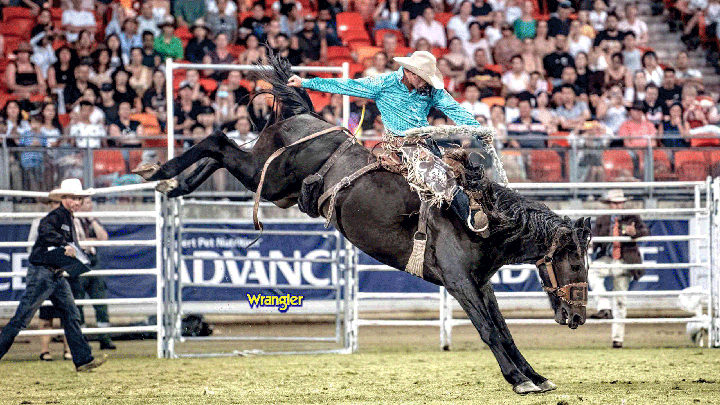 Horse rider on a bucking black horse in front of spectators at the The Wrangler Federation Rodeo Challenge.