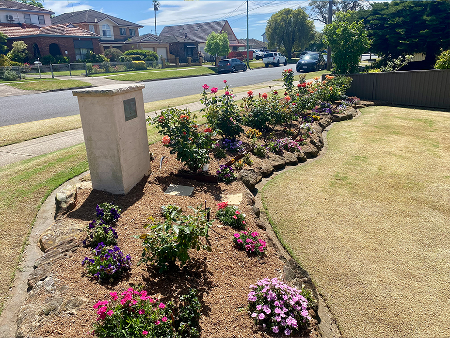 Simple yet charming spring garden featuring rose bushes, pansies, and petunias along a natural stone border, highlighting seasonal colour and community spirit.