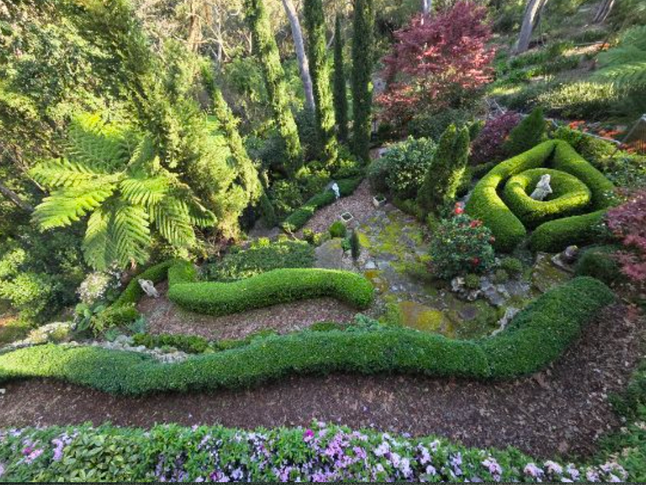 Sculpted hillside garden featuring winding box hedges, ferns, and mature trees, demonstrating creative topiary and strong garden structure for spring display.