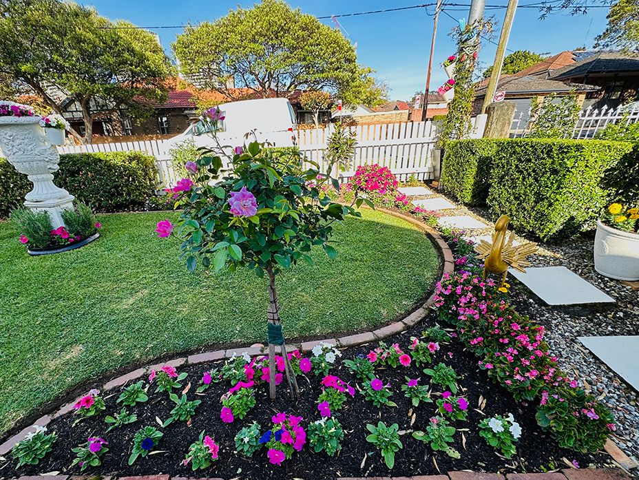 Colourful front garden filled with pink and white spring flowers, clipped hedges, and a small ornamental tree, arranged with symmetry and precision.