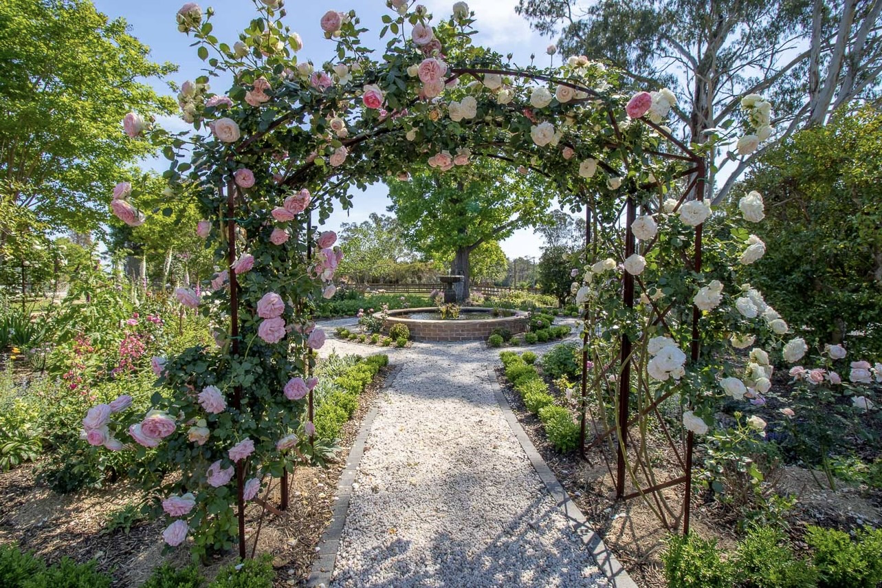 2nd place: Paul Gaudry of Kenthurst – garden showcase.