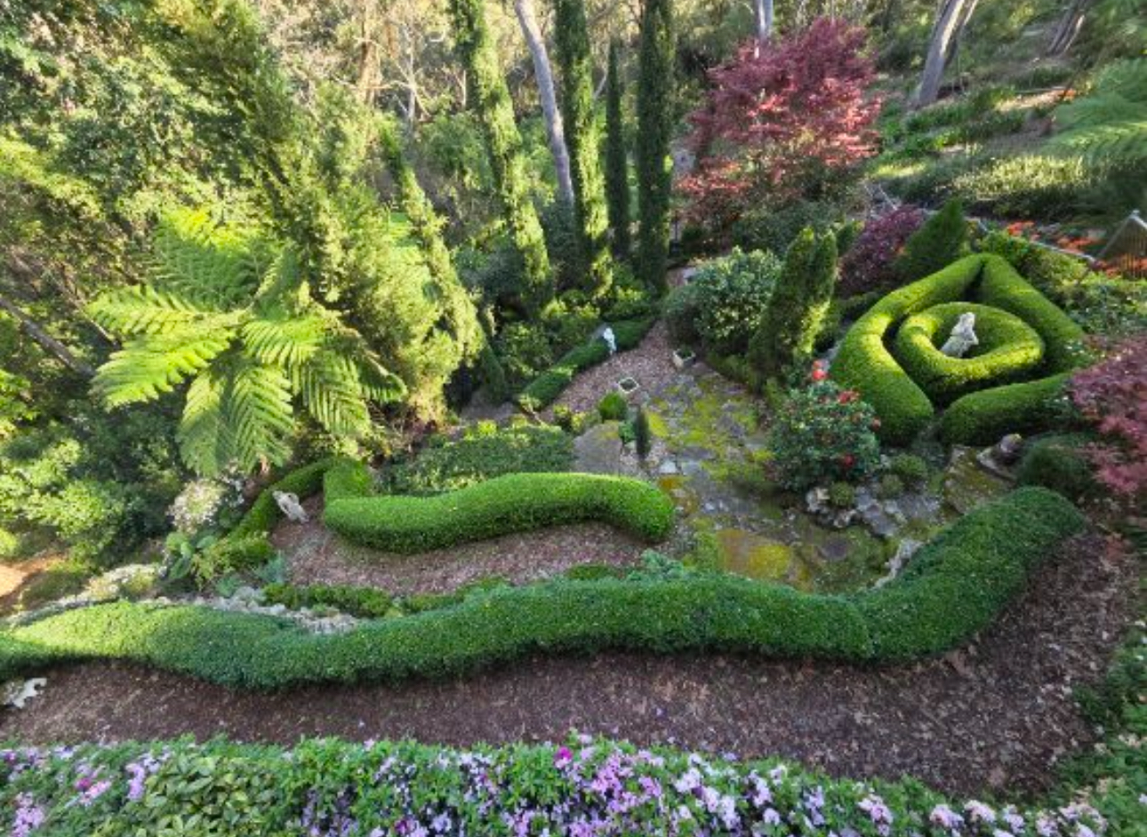 8th place: Ronald Simpson of Peakhurst – colourful seasonal flowers.