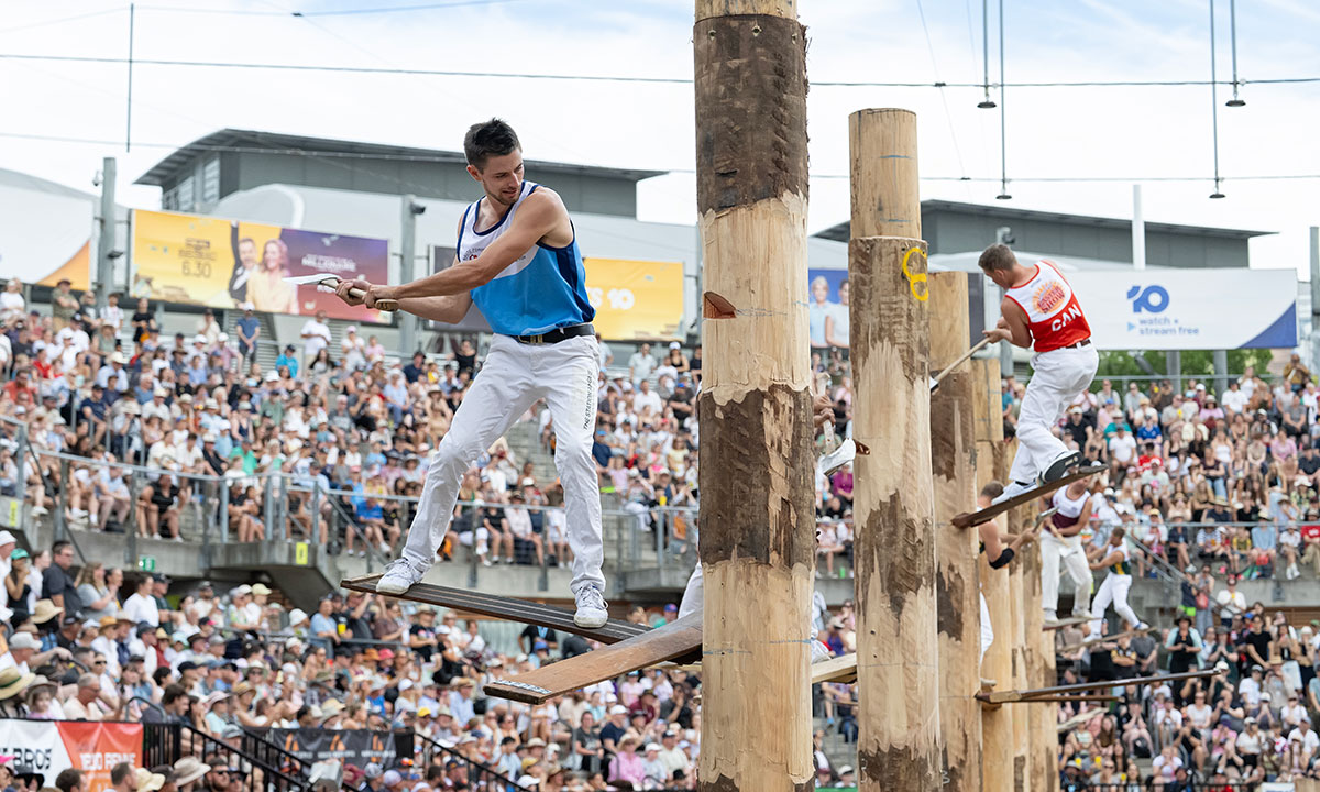 Tree felling competitors woodchopping on raised logs at the Woodchop Pavilion with crowd watching.