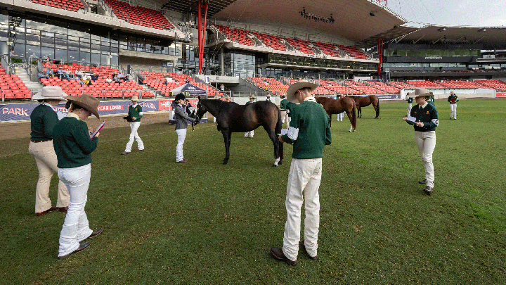 Participants judging horses at ENGIE Stadium at the 2024 RAS Young Judges Competition.