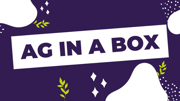 Bold white text box reading “AG IN A BOX” on a purple background with decorative green leaves and shapes.