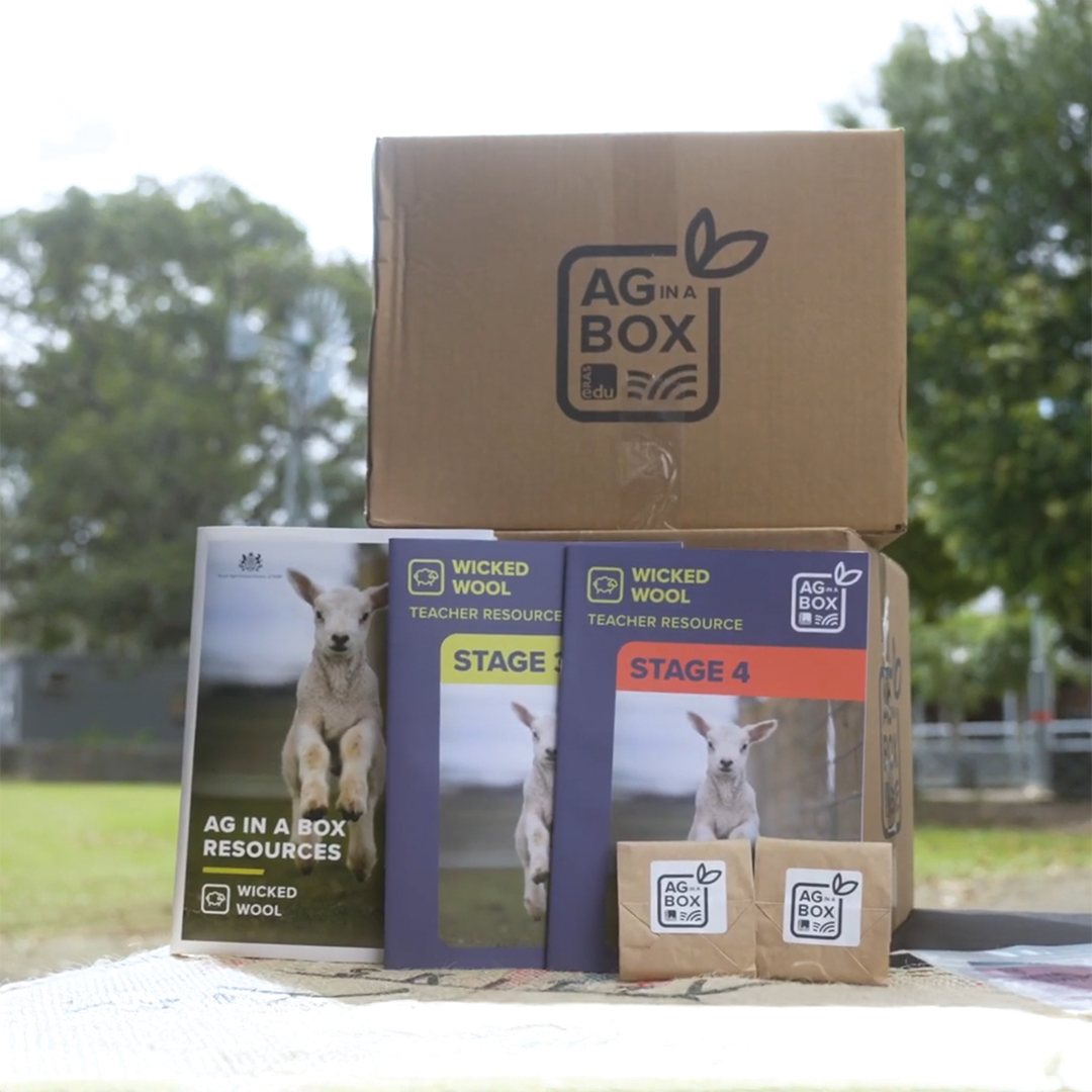 A cardboard box labelled ‘Ag in a Box’ with teacher resource booklets titled Wicked Wool displayed outdoors.