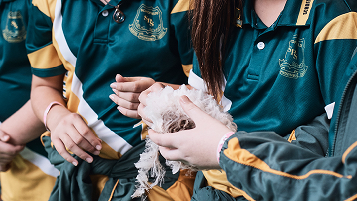 Close-up of students in green and gold uniforms holding a piece of raw wool during an agriculture class.