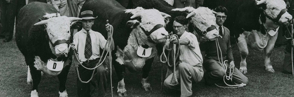 Junior Judging Competitions first introduced