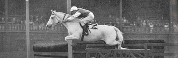 Horse jumping late under lights