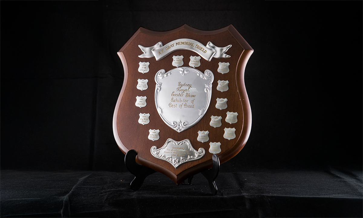 Wooden shield with large name plate, surrounded by smaller plaques with the names of previous winners. First awarded in 1950.