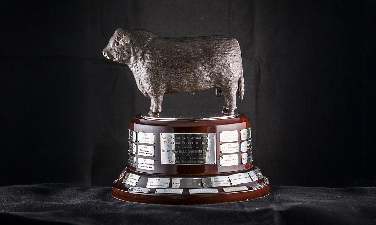 Bronze figure of a bull on a sterling silver plaque, raised on a circular base. First awarded in 1952.