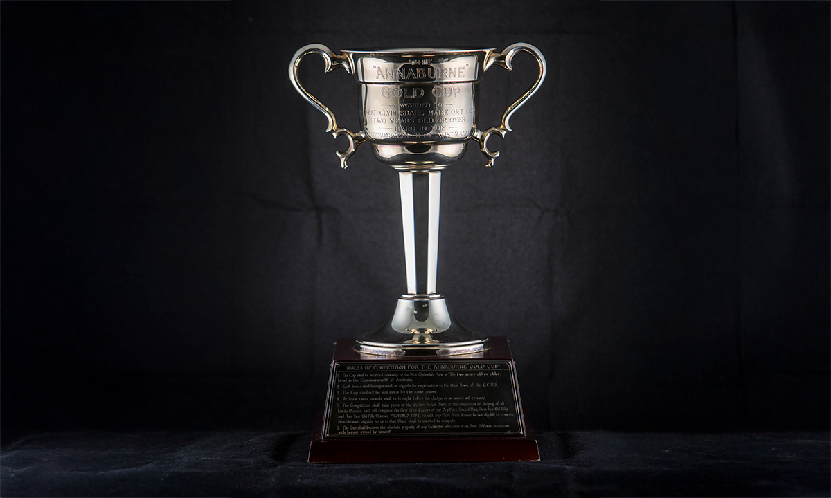 Gold-plated twin handled cup raised on a wooden base. First awarded in 1991.