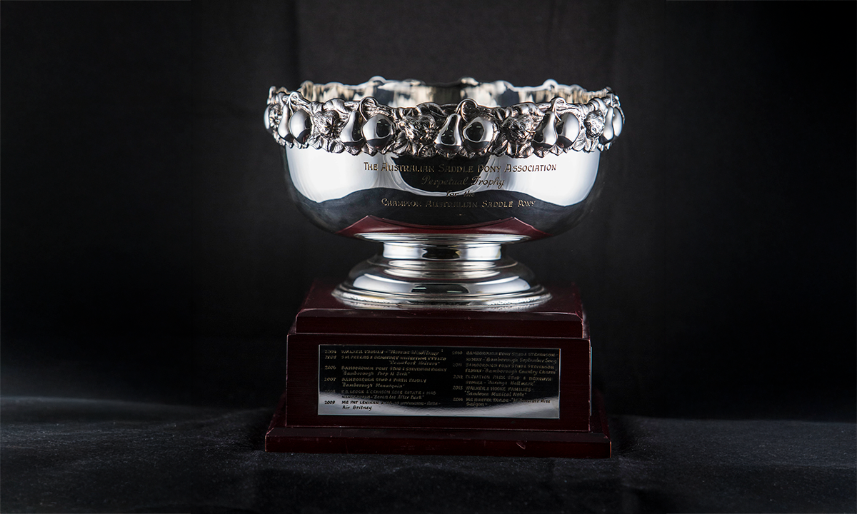 Silver punch bowl, raised on a rosewood finished timber plinth. First presented in 1989. 