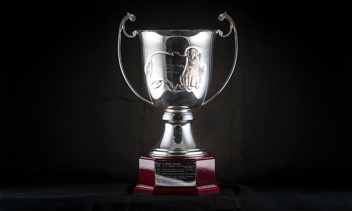 Twin handled silver cup which features a decorative pressed metal design of a dog. The cup is mounted on an octagonal plinth. First presented in 2009. 