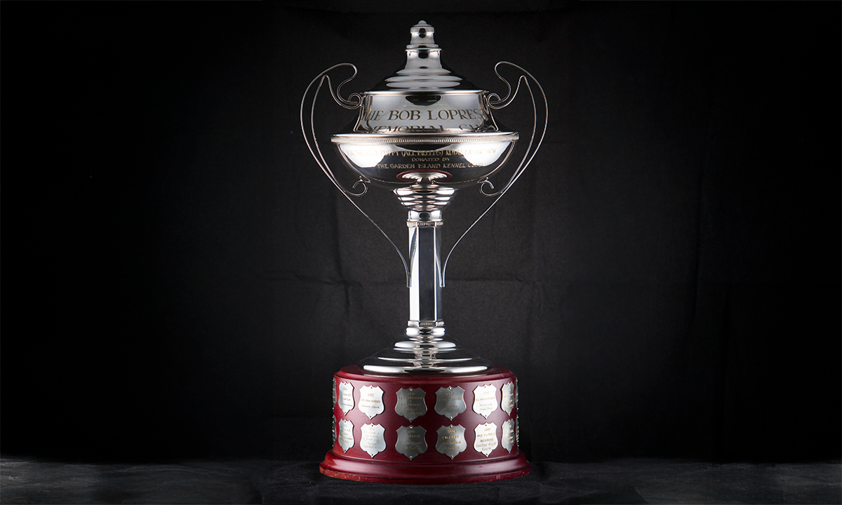 Silver lidded trophy cup with decorative wire-like twin handles on a timber base. First presented in 1985. 