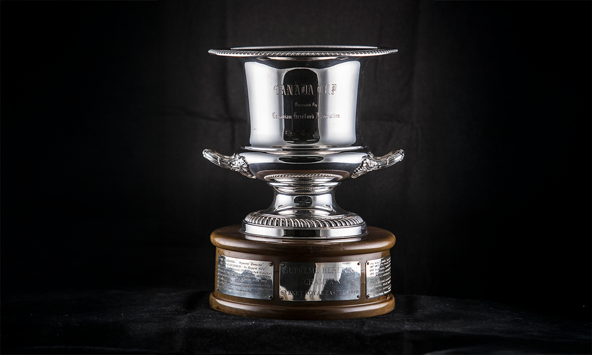 Silver twin handled wine cooler with gadrooned borders, raised on a circular timber plinth base. First presented in 1988. 