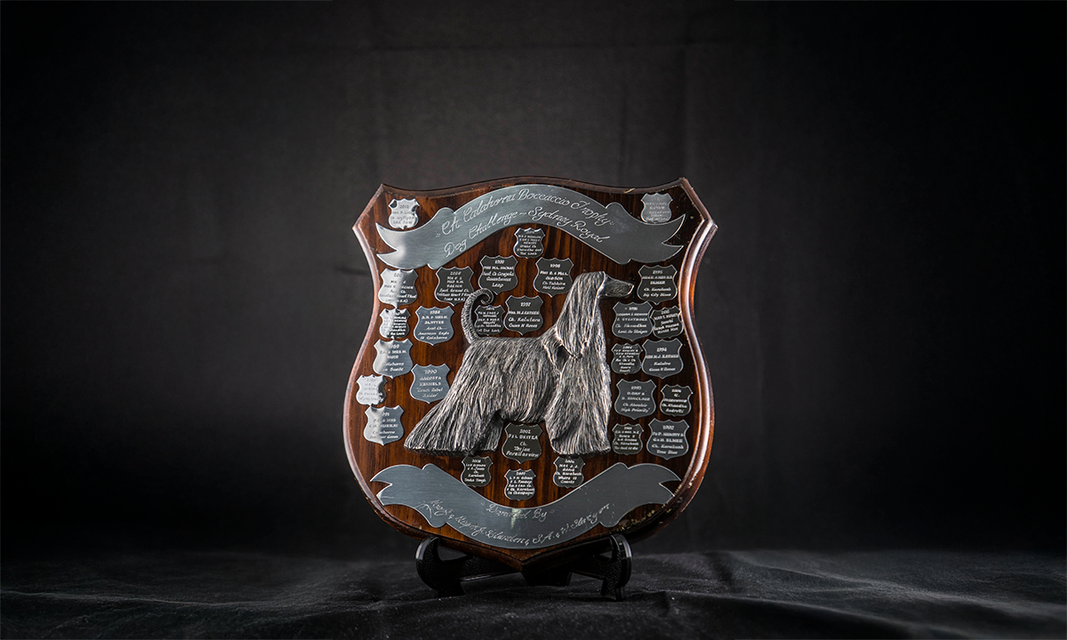 Wooden shield shaped plaque with an applied pewter figure of an Afghan Hound in the centre. Name and engraving plates are also applied to the front of the shield. First presented in 1988. 