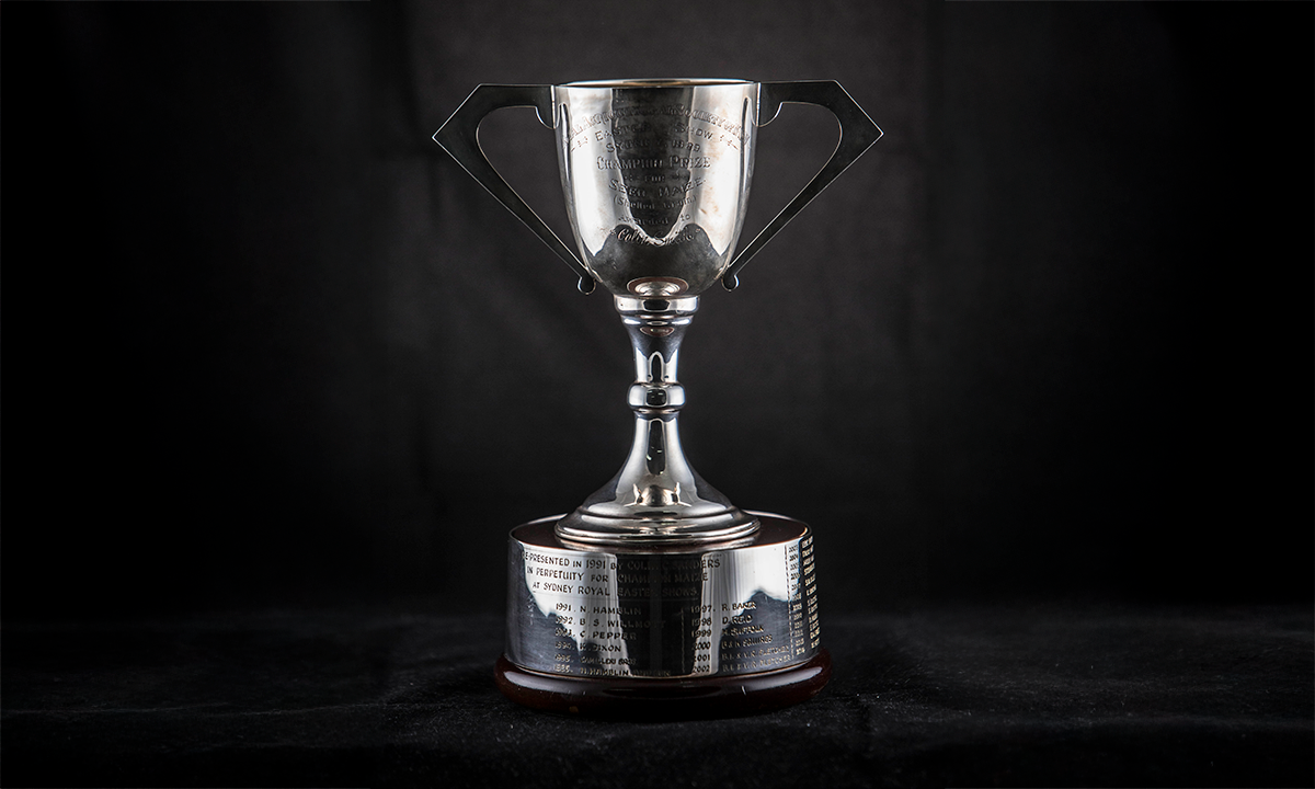 Silver twin handled cup, raised on a circular walnut plinth. First presented in 1991.