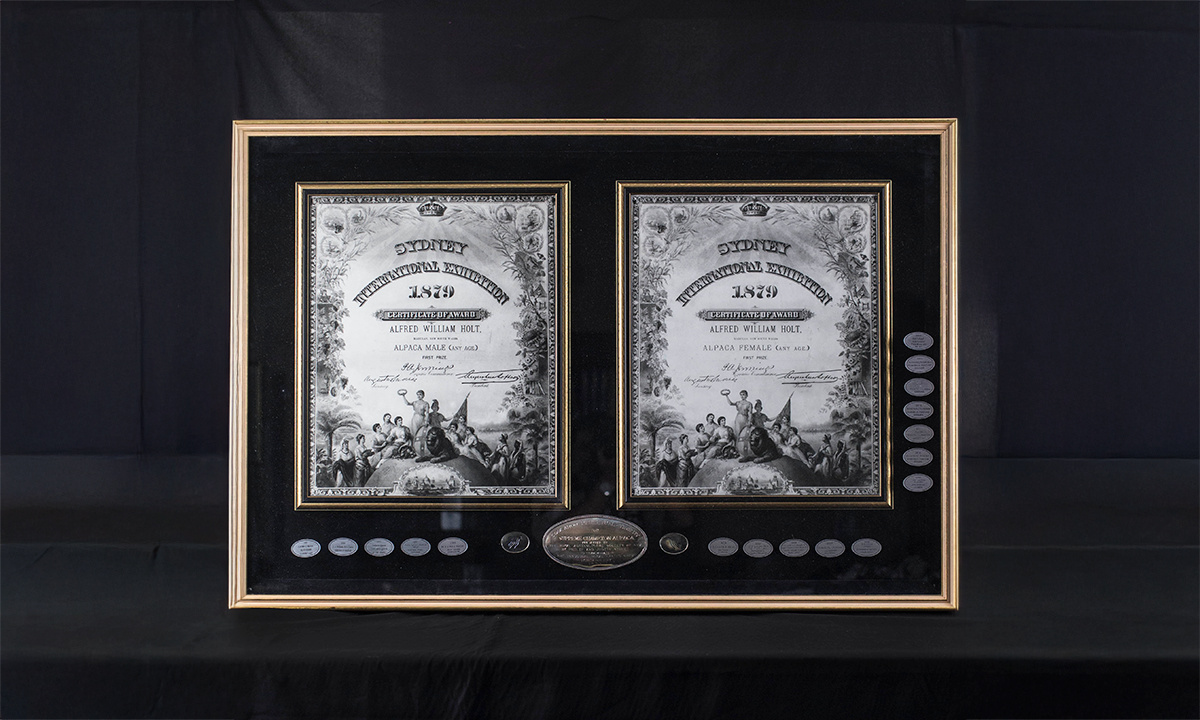 Two certificates from the 1879 Sydney International Exhibition, framed together in one large gold frame. Around the certificates sit small silver plaques noting winner’s names and exhibits. Awarded since 1999.