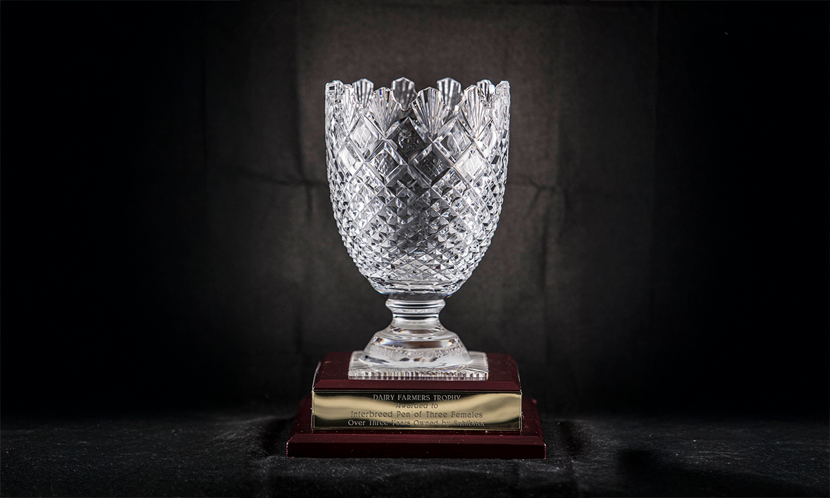 Crystal vase with line detailing and scalloped edges, raised on a wooden base. First presented in 1996.