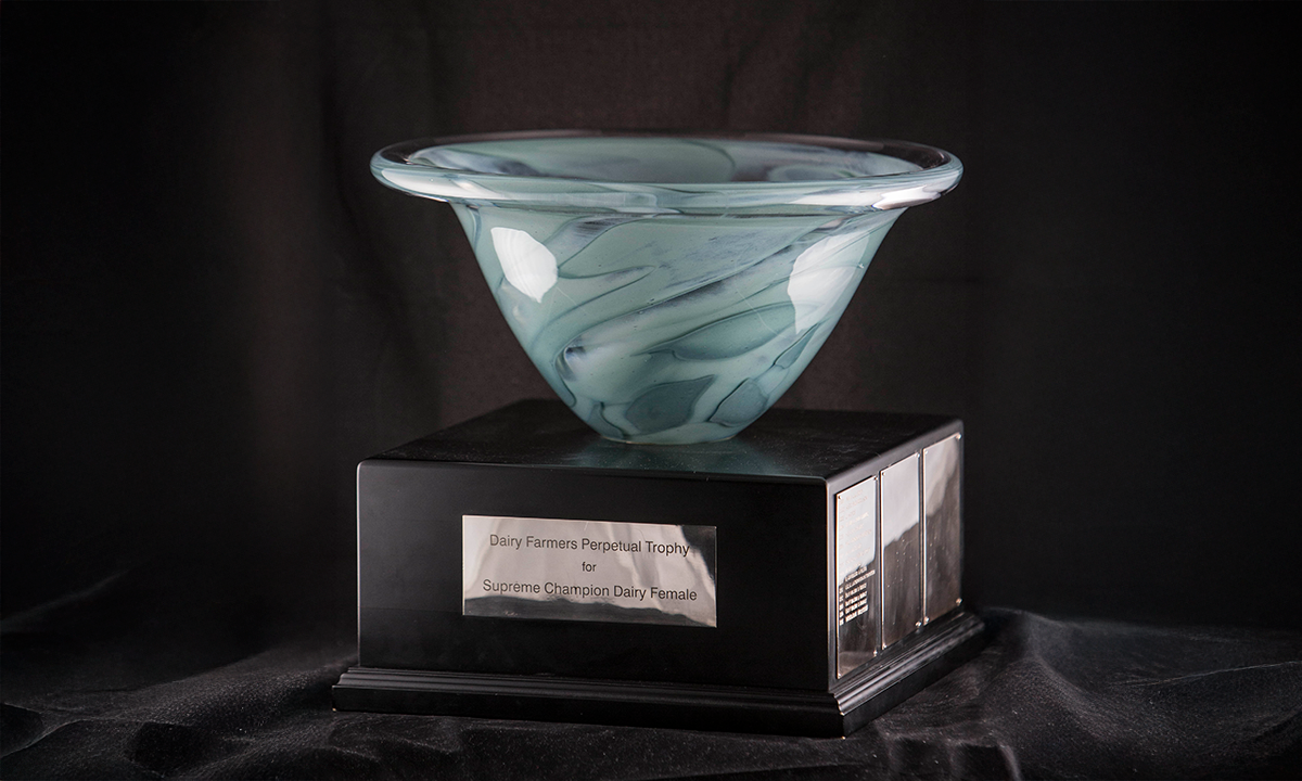A deep glass bowl with green swirl decoration and thick rim, raised on a square timber plinth. First presented in 1994.