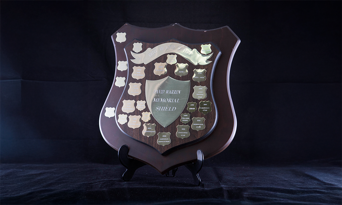 Walnut two tier wooden shield with gold coloured metal presentation shields attached and inscribed with winner names. First awarded in 1989.