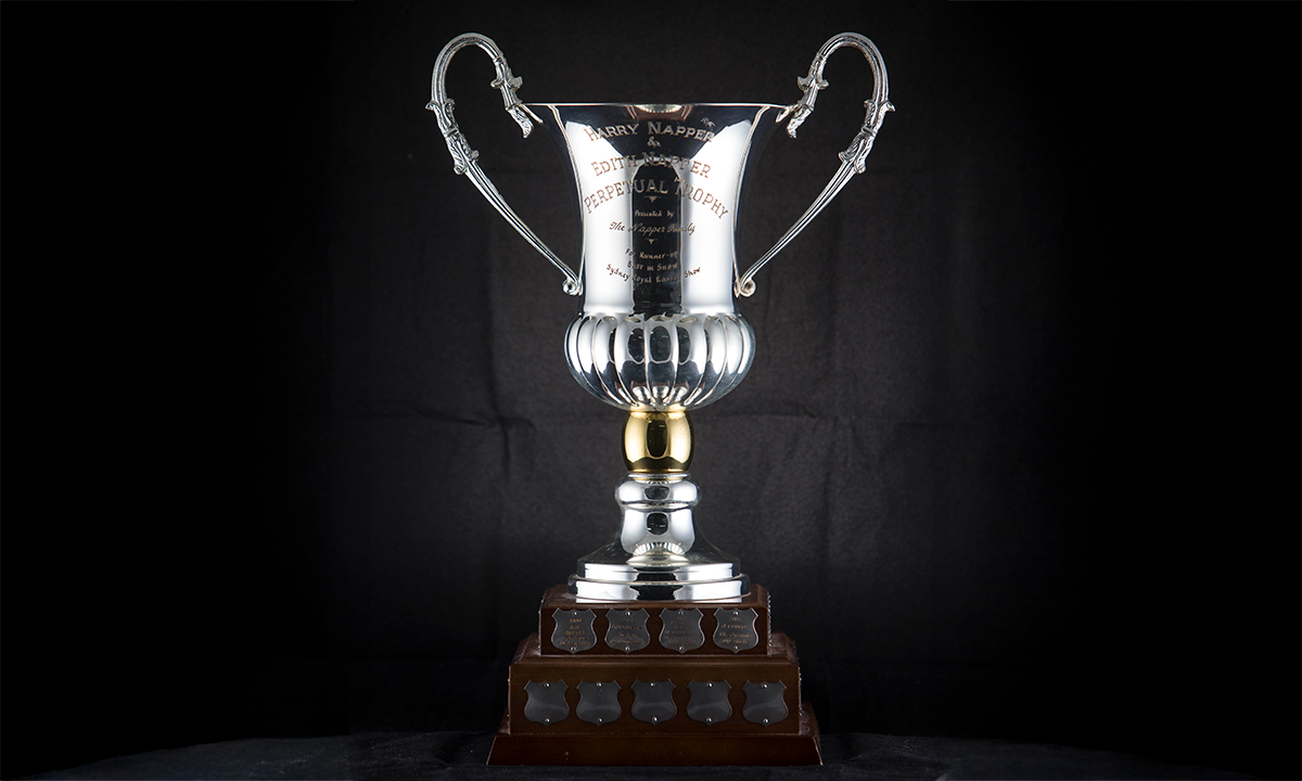 Silver twin-handled trophy cup with scroll handles, mounted on a stepped, square base with small silver shields attached. There is a gold detail visible on the neck of the trophy. First awarded in 1996. 