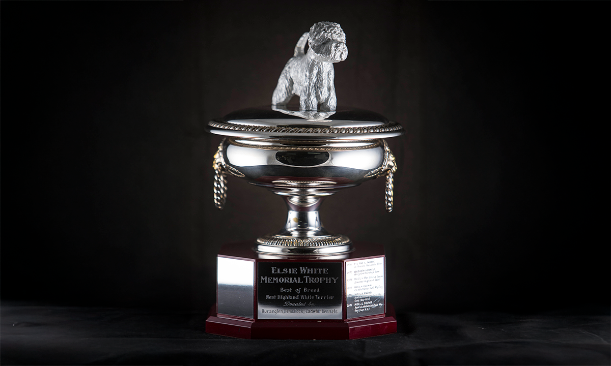 Twin handled shallow silver cup. A white figure of a terrier sits on top of the lid. First awarded 1996.
