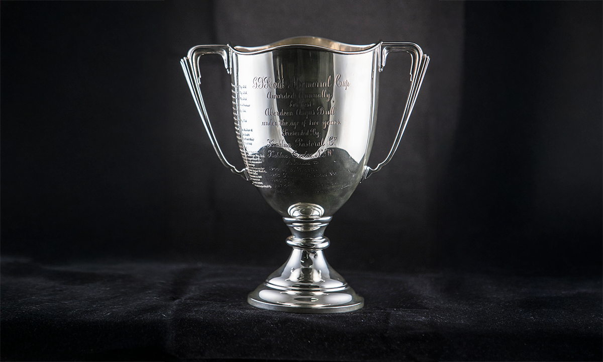 Silver twin handled trophy cup with wavey rim and stylised handles. First presented in 1944.