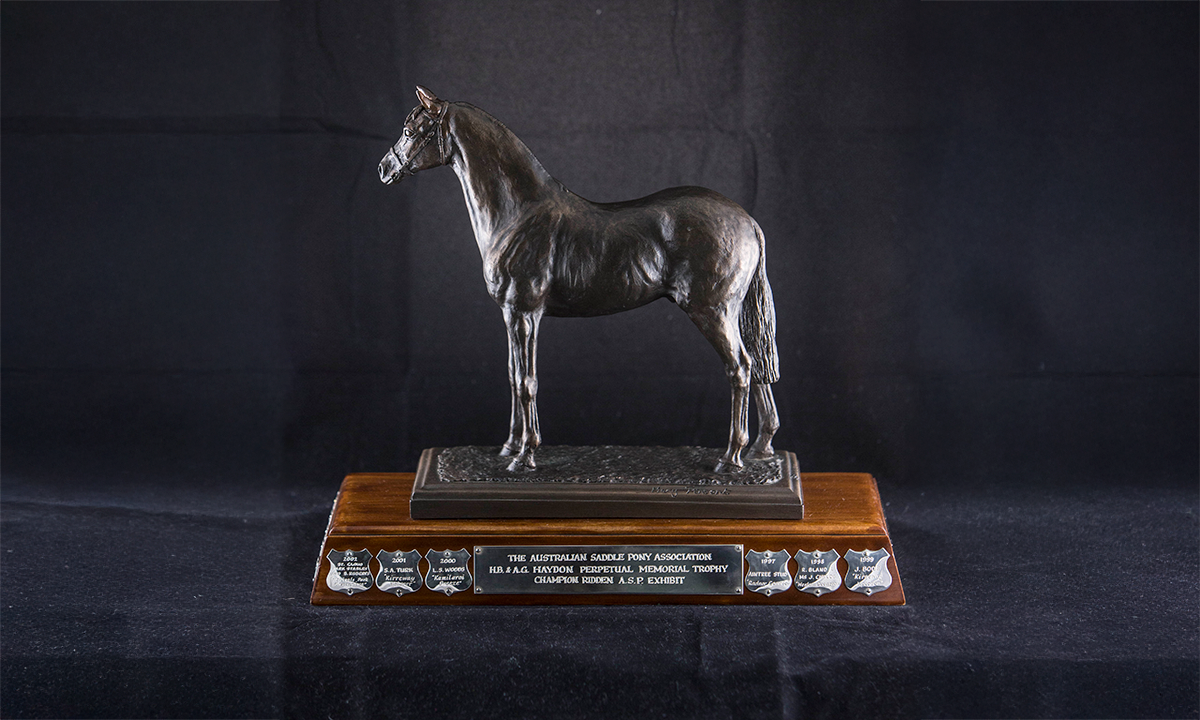 Bronze horse raised on a timber plinth, contained within a glazed case. First presented in 1997.
