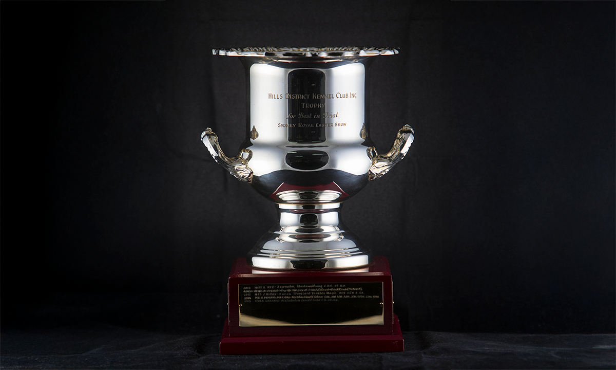 Silver cup with twin handles and decorative edges, raised on a square wooden base. First presented in 1993.