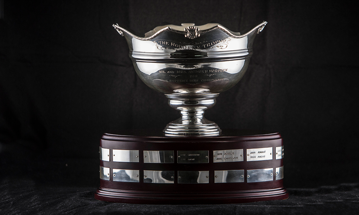 Silver punch bowl with a shaped rim engraved and embossed with Celtic symbols, sitting on top of an oval wooden base. First awarded in 1980.