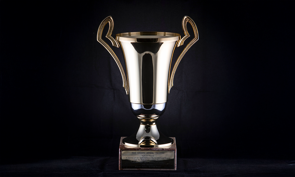 Gold twin handled cup trophy mounted on a square onyx base. First awarded in 1993.