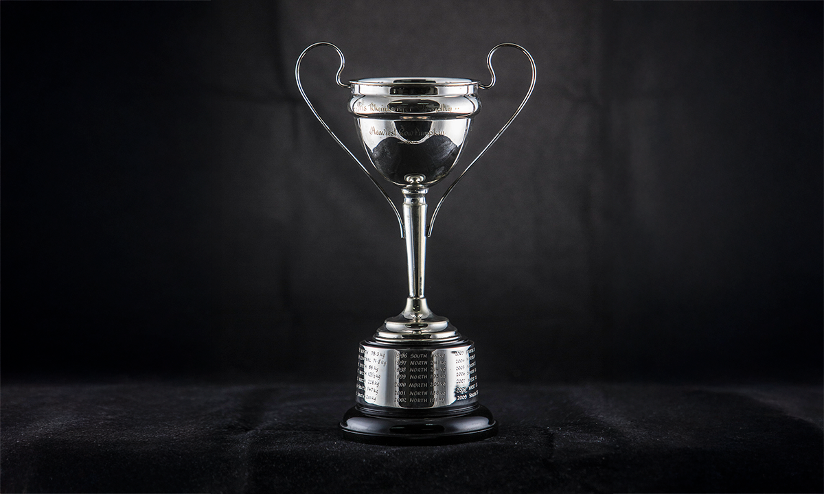 Silver-plated twin handled cup with scroll handles, raised on a black base. First awarded in 1989.
